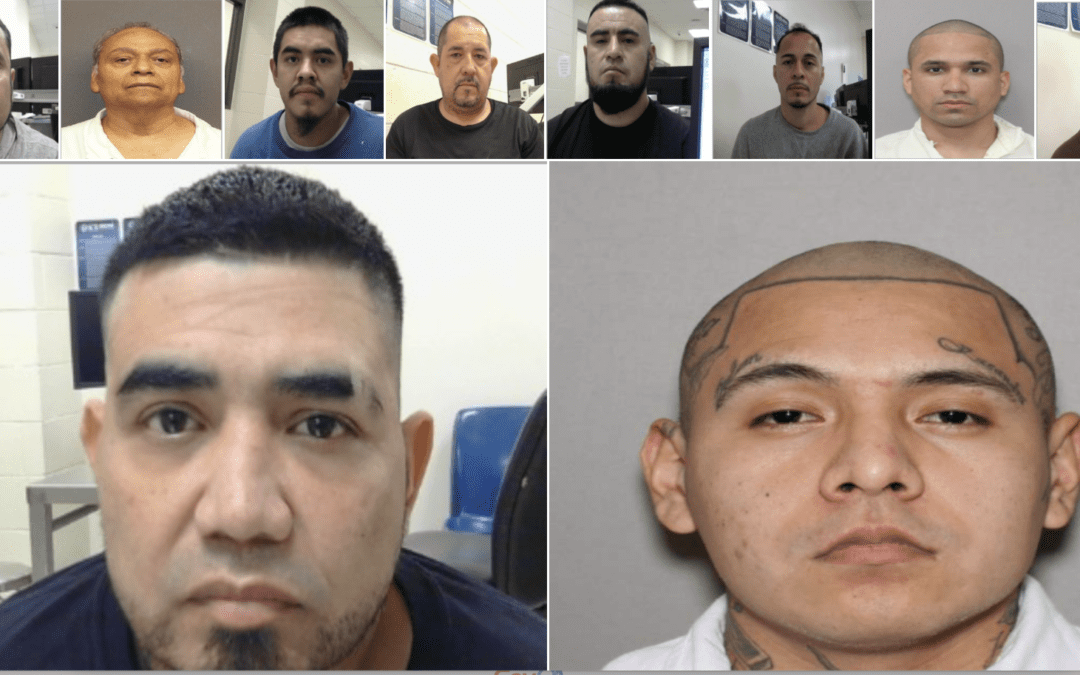 ICE Houston Deports 142 Criminal Aliens to Mexico
